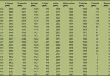 Cei mai „deștepți” dintre „băieții deștepți”. Palatul Victoria și Palatul Parlamentului