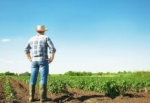 Comisia Europeană, acuzată de „heirupism” în implementarea agriculturii „verzi”