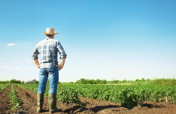 Comisia Europeană, acuzată de „heirupism” în implementarea agriculturii „verzi”