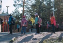 Curtea Constituțională a Finlandei respinge propunerea de introducere de restricții