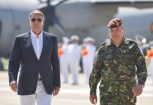 Lup travestit în general, paznic la Apărare