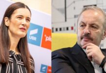 Vasile Dîncu, despre posibilul referendum de la Sectorul 1