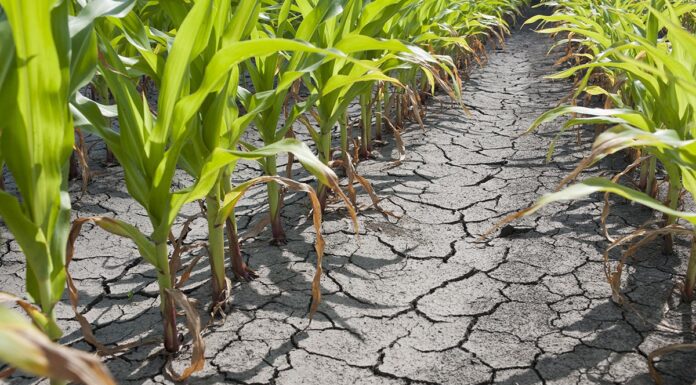 Legăturile lui Gabriel Comănescu cu Serviciile Secrete