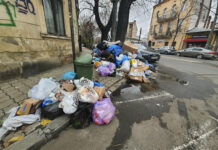 Clotilde Armand cere stare de alertă sanitară în Sectorul 1