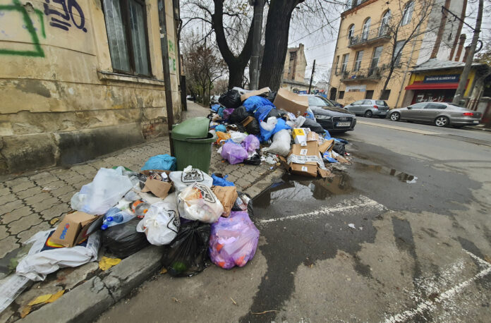 Clotilde Armand cere stare de alertă sanitară în Sectorul 1