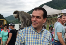 GUVERNARE DE SALTIMBANCI GREȚOȘI: ORBAN ÎL ATACĂ PE IOHANNIS, DAR PRIN RICOȘEU, RAREȘ BOGDAN ÎNTEȚEȘTE FOCUL. NIMIC DESPRE LIBERALUL PRIMAR-VIOLATOR DE MINORE!