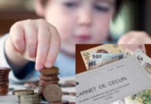 Guvernul crește alocațiile cu 20% din ianuarie, Ludovic Orban promite 20% plus rata inflației