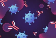 Anticorpii durează până la un an după contagierea cu SARS CoV-2 şi cresc după vaccinare