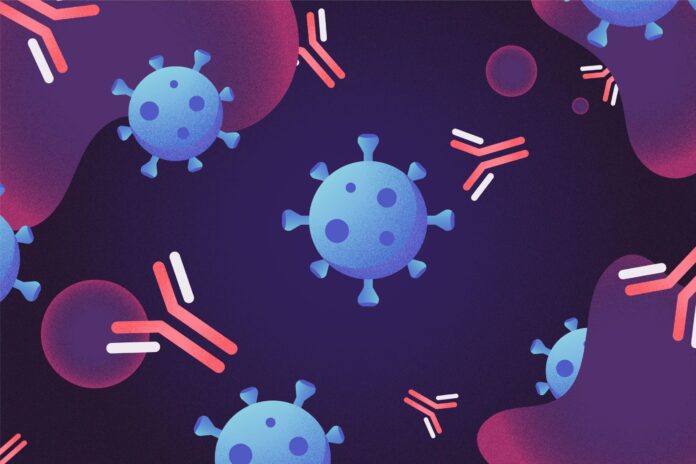 Anticorpii durează până la un an după contagierea cu SARS CoV-2 şi cresc după vaccinare