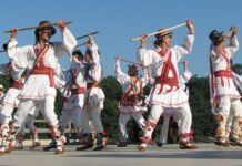 De RUSALII să gândim serios că PROSTIA A ÎNVINS ȘI CONDUCE AUTORITAR