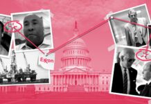 Un lobbyist pentru Axon a picat în plasa celor de la Greenpeace