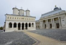 Rolul social al Bisericii Ortodoxe Române în fața progresismului