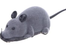 BIROURILE MINIȘTRILOR “PLUSR”, CURSE PENTRU ȘOARECII COALIȚIEI?!