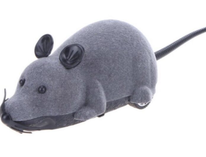 BIROURILE MINIȘTRILOR “PLUSR”, CURSE PENTRU ȘOARECII COALIȚIEI?!