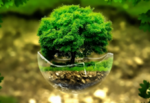 Ministrul mediului intenționează să înființeze o instituție preocupată cu problemele de mediu