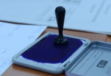 Acuzații de fraudă electorală și bizarerii electorale