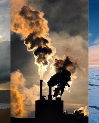 Surse GOLD FM: Fiul patronului Cris-Tim, arestat pentru trafic de droguri