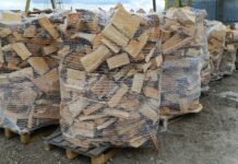 „Cîțu și Ghinea și-au luat angajamentul ca în România să se renunțe la încălzirea pe lemne”. Cristian Terheș, europarlamentar, la GOLD FM