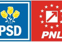 Ghilezan: Coaliția se salvează la București doar dacă va candida Ciolacu, cu condiția ca Piedone să se retragă din cursă!