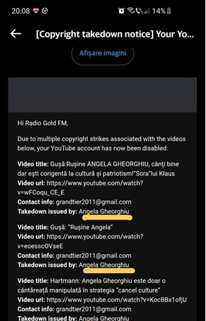 “ASTA E PNL!” Dana Budeanu, despre ce au reprezentat liberalii în ultimul an și jumătate