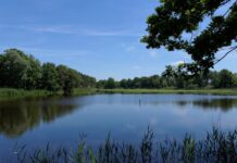 BOMBA IOSEFINEI PASCAL: “Se privatizează râurile, lacurile și chiar apa Mării Negre sub pretextul dezvoltării economice!”