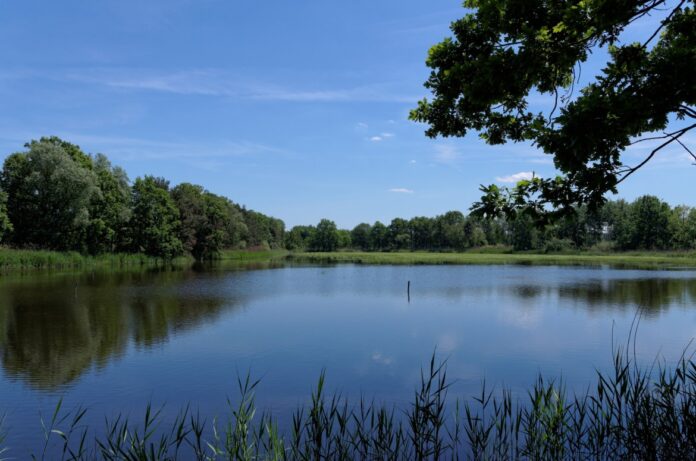 BOMBA IOSEFINEI PASCAL: “Se privatizează râurile, lacurile și chiar apa Mării Negre sub pretextul dezvoltării economice!”