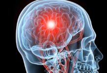 Cum ar putea știința să producă o pandemie a zombiilor și cum se poate comunica despre această epidemie?