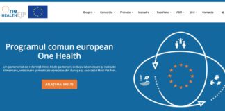 Marius Ghilezan: „În locul lui Marcel Ciolacu, ceream totul”