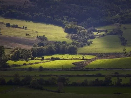 „Big Brother, doar că în Sectorul 6 și la Câmpulung” – Iosefina Pascal, la Gold FM