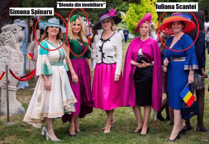 Constituția României, o pălărie prea mare pentru Iuliana Scântei. ANCHETĂ uluitoare