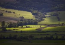 Prinţul Charles expune la Londra 79 dintre acuarelele sale, inclusiv peisaje din Transilvania, România