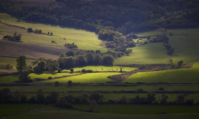 Prinţul Charles expune la Londra 79 dintre acuarelele sale, inclusiv peisaje din Transilvania, România