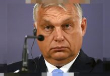 EURONEWS intră sub influența lui Viktor Orban. Acum trei ani, români “de bine” și cu epoleți au blocat o tranzacție similară româno-americană, prin care coordonam noi și Euronews Ungaria…