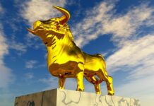 Carnea se va SCUMPI cu 56% pentru Salvarea Planetei