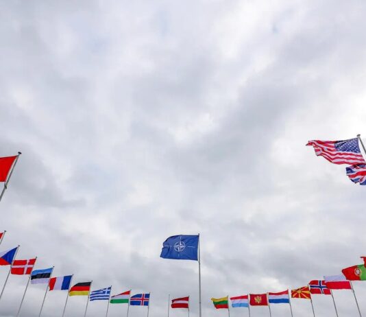 Slugărnicia, tupeul, dubla măsură și incultura au atins cote alarmante în USR și în Cluj