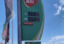 „Isteria carburanților, jaf în care statul este complice” – Iosefina Pascal, la GOLD FM