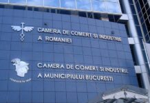 Persoanele juridice din România ar urma să plătească taxe către un ONG