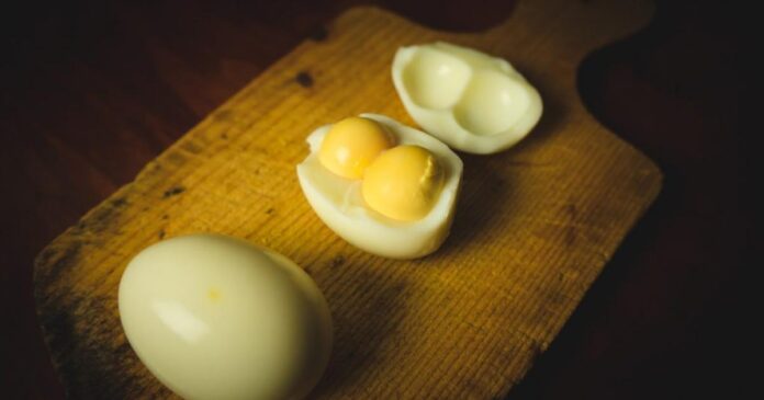 Două judecătoare au scos SRI-ul din „cofrajele de ouă cu dublu gălbenuș”