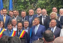 „Spectacolul lugubru de la PNL” – Ciprian Purice