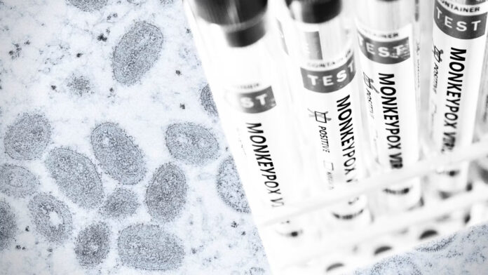 Cercul vicios al virusurilor