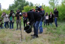 Primăria Sectorului 4 împreună cu Primăria Capitalei și cu Asociația Parcul Natural Văcărești caută cele mai bune soluții pentru protejarea și transformarea „Deltei” într-o oază unică de recreere în inima orașului