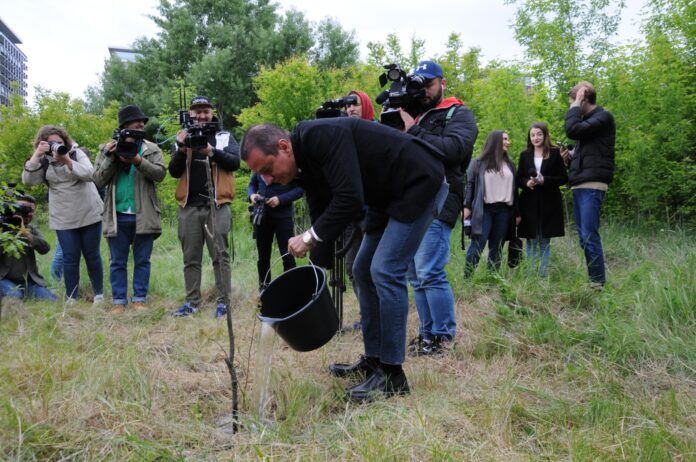Primăria Sectorului 4 împreună cu Primăria Capitalei și cu Asociația Parcul Natural Văcărești caută cele mai bune soluții pentru protejarea și transformarea „Deltei” într-o oază unică de recreere în inima orașului