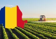 Cum pierd agricultorii români în fața globalismului