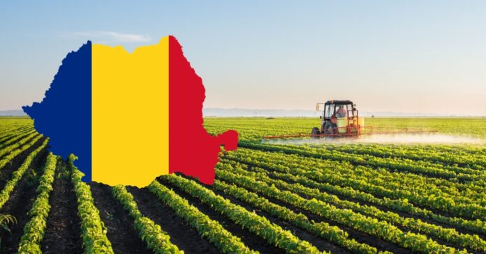 Cum pierd agricultorii români în fața globalismului