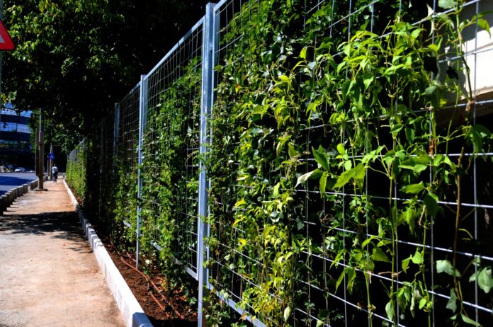 Proiect inedit în Sectorul 4! Soluție pe verticală pentru a crește suprafața de spații verzi