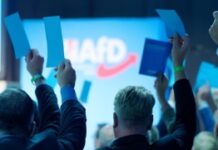 Sondaj interesant în Germania, pe fondul prețurilor mari la energie: partidul extremist de dreapta AfD ar ajunge pe primul loc în 34 de circumscripții