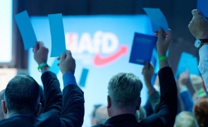 Sondaj interesant în Germania, pe fondul prețurilor mari la energie: partidul extremist de dreapta AfD ar ajunge pe primul loc în 34 de circumscripții