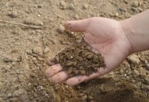 Din puțul gândirii neomarxiste – cadavre pe post de fertilizatori