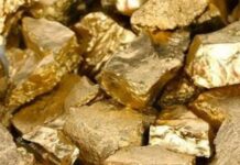 De-a lungul istoriei, românii au plătit biruri în valoare de 1.300 de tone de aur