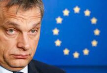 Referendumul lui Orban vs. ce a făcut Senatul României ieri